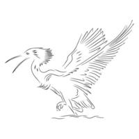 line art illustration of crane bird vector