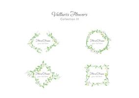 collection of spring Vallaris bread flower ornament floral frame vector