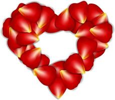 Heart Frame From Red Rose Petals on white background vector