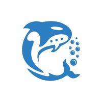 Dolphin Logo Design vector