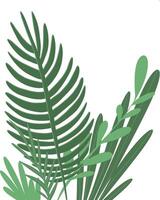 verde tropical exótico plantas y hojas aislado en blanco antecedentes vector