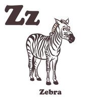 Zebra Cartoon Character For Kids vector