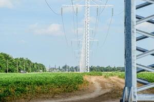 transmisión torre en un antecedentes campo de soja foto