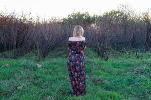 The lady on the background of dry trees. Woman in a dress. photo