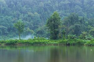 Lake, fog, and forest. Beautiful lake surrounded by forest covered by haze in the Gede Pangrango National Park, Indonesia photo