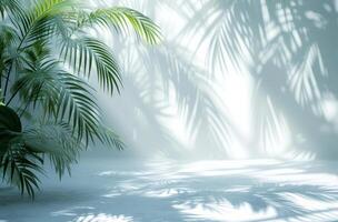 AI generated a background of a white room with a silhouette of a tropical tree photo