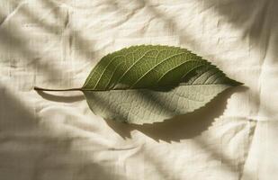 ai generado sombra formar en un hoja hoja planta natural blanco papel en lino foto