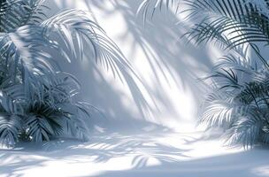 AI generated a background of a white room with a silhouette of a tropical tree photo