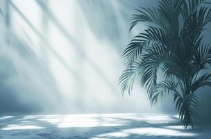 AI generated a background of a white room with a silhouette of a tropical tree photo