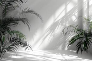 AI generated a background of a white room with a silhouette of a tropical tree photo