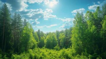 ai generado hermosa natural antecedentes con verde bosque y azul cielo grande copyspace zona con Copiar espacio para texto foto