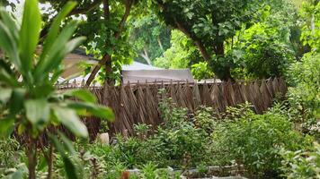Gewächshaus mit Grün Pflanzen im das Malediven video
