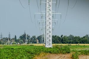 Transmission tower on a background field of soybeans photo