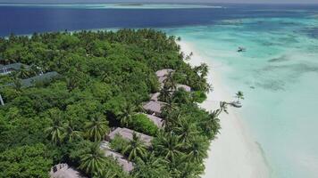 casas em uma branco de praia dentro a Maldivas video
