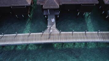 une homme des promenades le long de une jetée dans le Maldives video