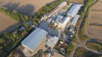 Rice plant. Hangar for storage of grain. A platform for drying and sintering grain. Harvested grain photo