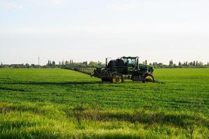 tractor con el ayuda de un rociador aerosoles líquido fertilizantes en joven trigo en el campo. foto