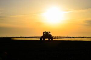 tractor con el ayuda de un rociador aerosoles líquido fertilizantes en joven trigo en el campo. foto