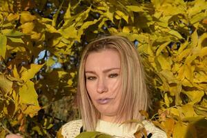 Girl on a background of yellow leaves of autumn trees. Autumn photo session.