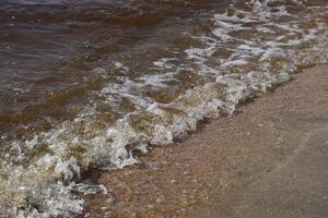 Coastal sea waves. Seawater with seaweed. Coastal algae. Sea beach. Brown water. The sea is brown. photo