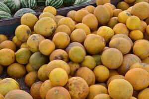 recogido en un pila de melones y sandias foto