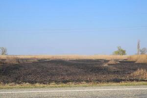 Burned grass along the route photo