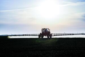 tractor con el ayuda de un rociador aerosoles líquido fertilizantes en joven trigo en el campo. foto