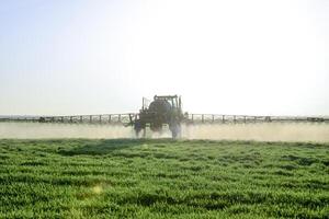 tractor en el puesta de sol antecedentes. tractor con alto ruedas es haciendo fertilizante en joven trigo. el utilizar de finamente disperso rociar productos quimicos foto