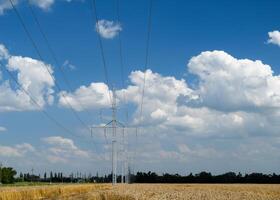 un transmisión línea en un antecedentes de trigo campos y cielo con nubes foto