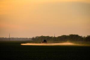 tractor with the help of a sprayer sprays liquid fertilizers on young wheat in the field. photo
