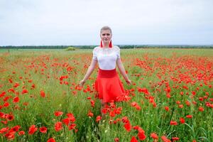 Blonde young woman in red skirt and white shirt, red earrings is in the middle of a poppy field. photo