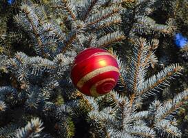 decoraciones nuevo año árbol. oropel y juguetes, pelotas y otro decoraciones en el Navidad Navidad árbol en pie en el abierto aire. foto