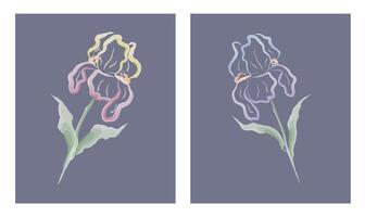 flowers irises using watercolor contour drawing doodle on a plain background, holiday greeting card vector