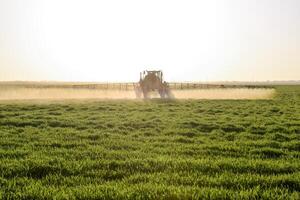 tractor en el puesta de sol antecedentes. tractor con alto ruedas es haciendo fertilizante en joven trigo. el utilizar de finamente disperso rociar productos quimicos foto