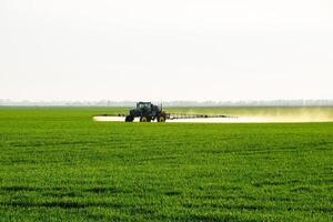 tractor con el ayuda de un rociador aerosoles líquido fertilizantes en joven trigo en el campo. foto