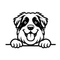 AI generated Black And White Kuvasz dog peeking face illustration free vector