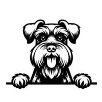 AI generated Black And White Giant Schnauzer dog peeking face illustration pro vector