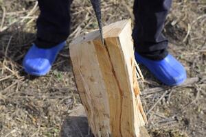 Chopping wood with an ax photo