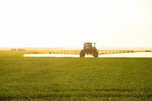 tractor con el ayuda de un rociador aerosoles líquido fertilizantes en joven trigo en el campo. foto