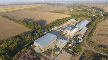 Rice plant. Hangar for storage of grain. A platform for drying and sintering grain. Harvested grain photo