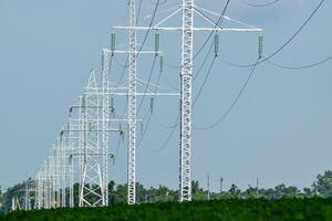 Transmission tower on a background field of soybeans photo