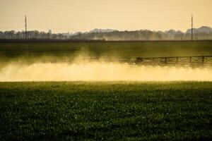 Jets of liquid fertilizer from the tractor sprayer. photo