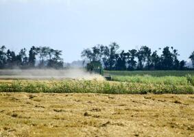 Combine harvesters. Agricultural machinery. photo