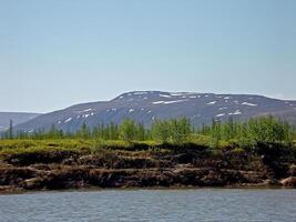 River landscape. Northern reindeer in summer forest. The sky, gr photo