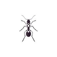 Ant Logo vector illustration template design