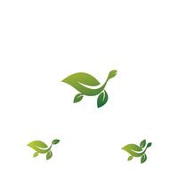 Turtle design logo vector. Turtle animal vector