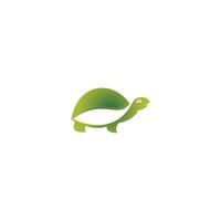 Turtle design logo vector. Turtle animal vector