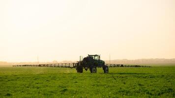 Tractor on the sunset background. Tractor with high wheels is making fertilizer on young wheat. photo