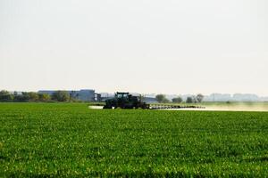 tractor con el ayuda de un rociador aerosoles líquido fertilizantes en joven trigo en el campo. foto