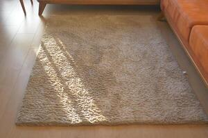 alfombra textura antecedentes en de madera piso con Copiar espacio foto